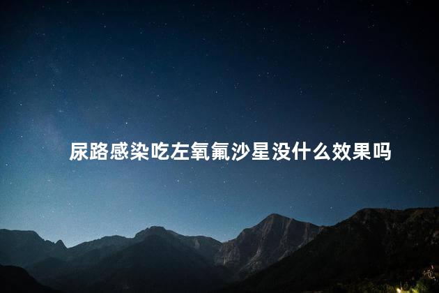 尿路感染吃左氧氟沙星没什么效果吗