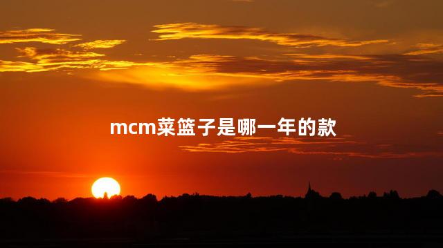 mcm菜篮子是哪一年的款