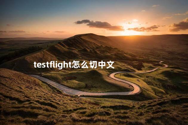 testflight怎么切中文