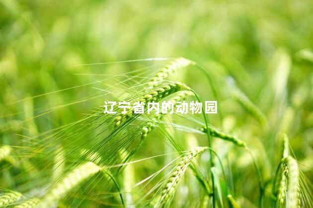 辽宁省内的动物园