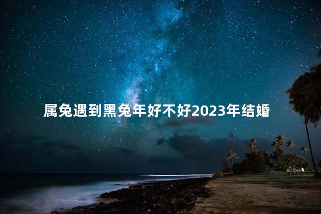 属兔遇到黑兔年好不好2023年结婚