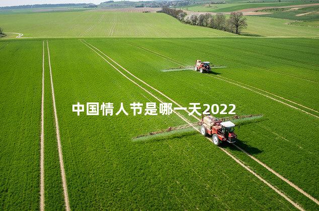 中国情人节是哪一天2022