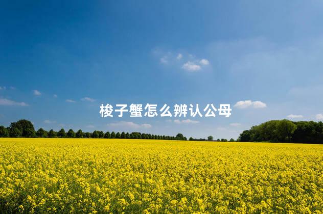 梭子蟹怎么辨认公母