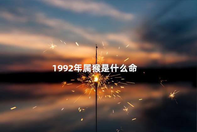 1992年属猴是什么命