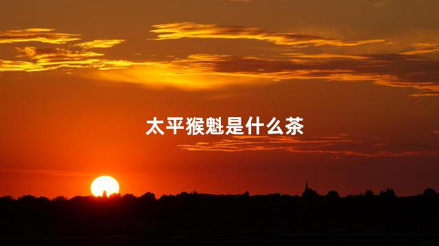 太平猴魁是什么茶