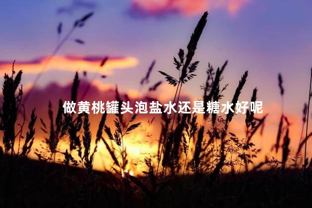 做黄桃罐头泡盐水还是糖水好呢