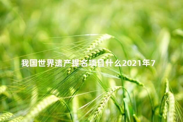 我国世界遗产提名项目什么2021年7月25日