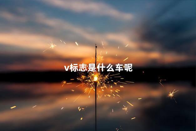 v标志是什么车呢