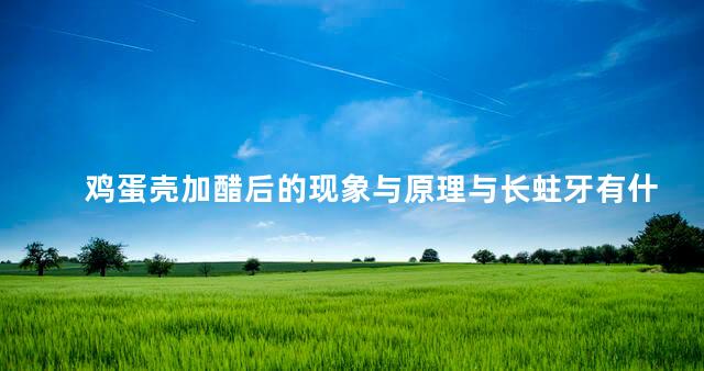 鸡蛋壳加醋后的现象与原理与长蛀牙有什么联系