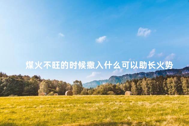 煤火不旺的时候撒入什么可以助长火势