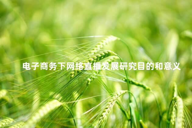 电子商务下网络直播发展研究目的和意义