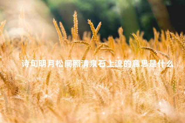 诗句明月松间照清泉石上流的意思是什么