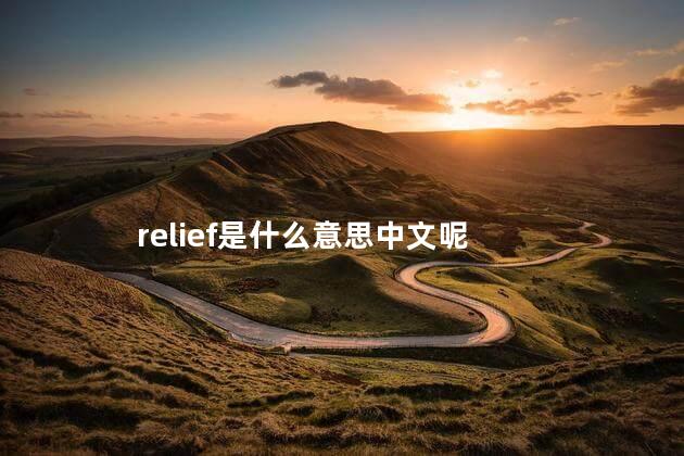 relief是什么意思中文呢