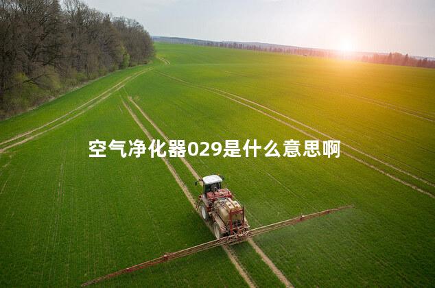 空气净化器029是什么意思啊