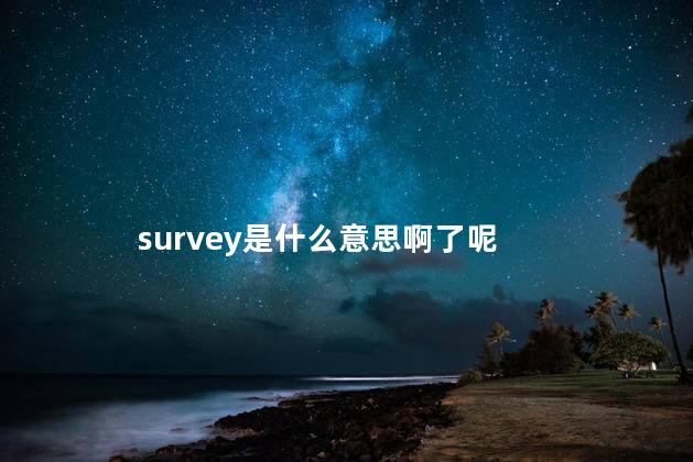 survey是什么意思啊了呢