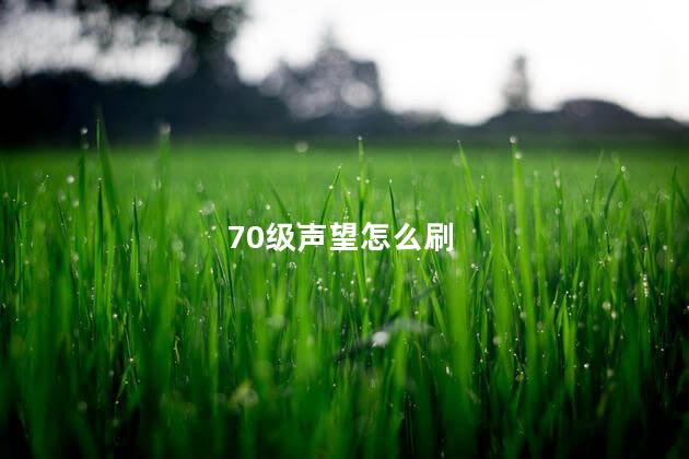 70级声望怎么刷