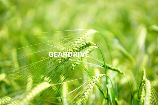 GEARDRIVE