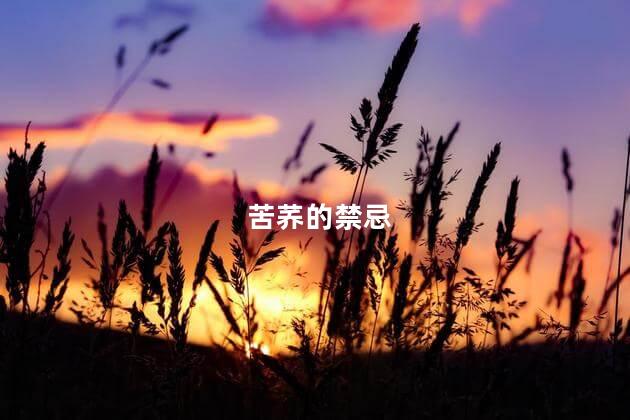 苦荞的禁忌