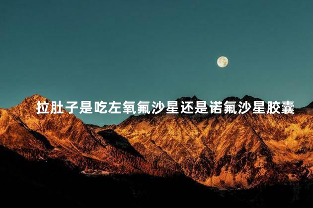 拉肚子是吃左氧氟沙星还是诺氟沙星胶囊