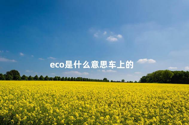 eco是什么意思车上的