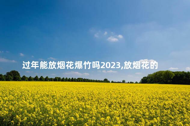 过年能放烟花爆竹吗2023,放烟花的注意事项