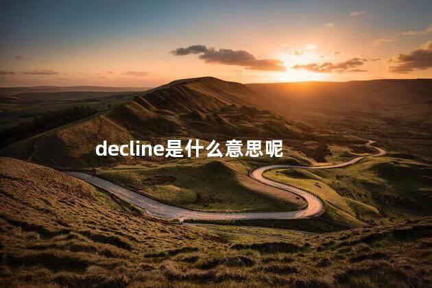 decline是什么意思呢