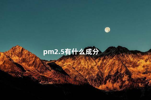 pm2.5有什么成分